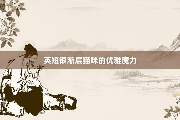 英短银渐层猫咪的优雅魔力