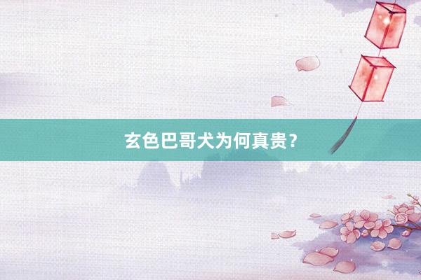 玄色巴哥犬为何真贵？